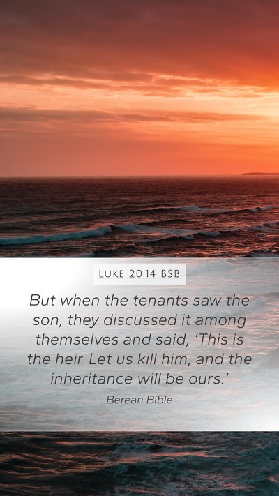 Luke 20:14 BSB Bible Verse Image