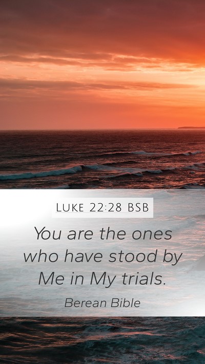 Luke 22:28 BSB Mobile Phone Wallpaper - You are the ones who have stood by Me in My - Mobile Bible Verse Wallpaper