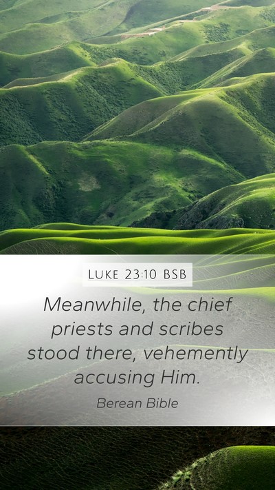 Luke 23:10 BSB Bible Verse Image