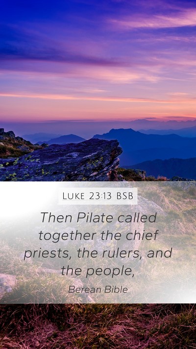 Luke 23:13 BSB Bible Verse Image