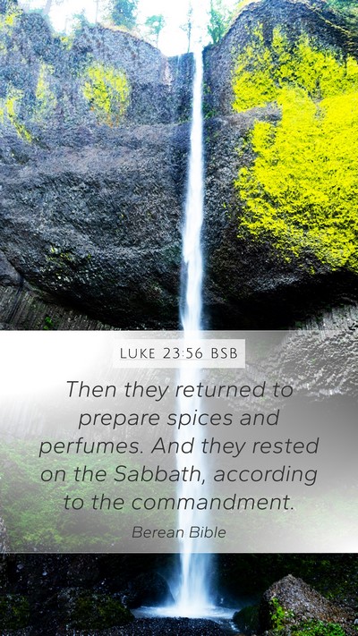 Luke 23:56 BSB Bible Verse Image