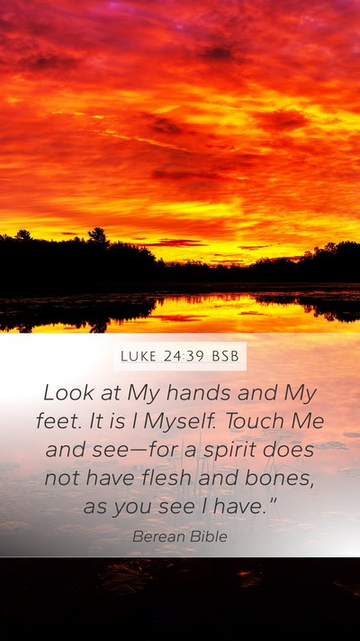Luke 24:39 BSB Bible Verse Image