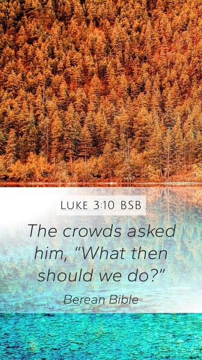 Luke 3:10 BSB Mobile Phone Wallpaper - The crowds asked him, “What then should we - Mobile Bible Verse Wallpaper