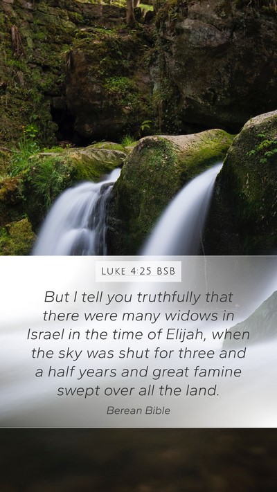 Luke 4:25 BSB Bible Verse Image