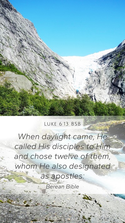 Luke 6:13 BSB Bible Verse Image