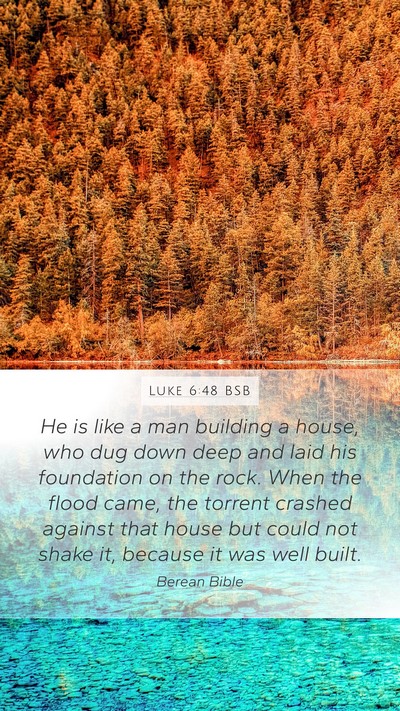 Luke 6:48 BSB Mobile Phone Wallpaper - He is like a man building a house, who dug down - Mobile Bible Verse Wallpaper