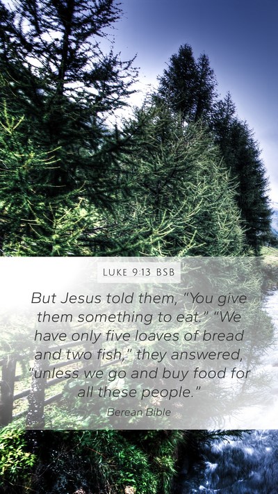 Luke 9:13 BSB Bible Verse Image