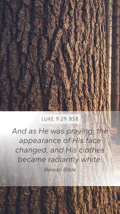 Luke 9:29 BSB Mobile Phone Wallpaper - And as He was praying, the appearance of His face - Mobile Bible Verse Wallpaper