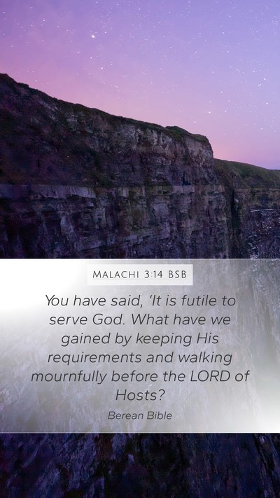 Malachi 3:14 BSB Bible Verse Image