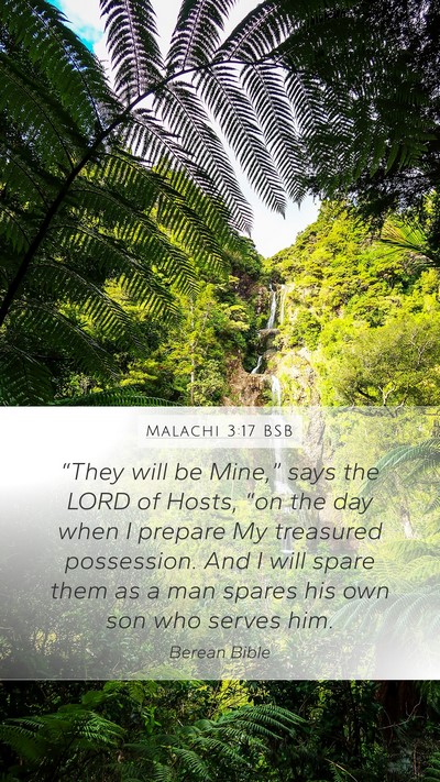Malachi 3:17 BSB Bible Verse Image