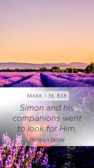 Mark 1:36 BSB Mobile Phone Wallpaper - Simon and his companions went to look for - Mobile Bible Verse Wallpaper