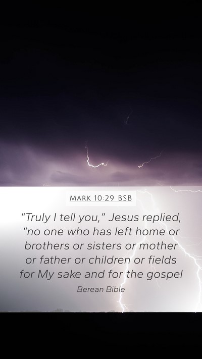 Mark 10:29 BSB Bible Verse Image