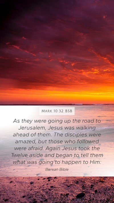 Mark 10:32 BSB Bible Verse Image