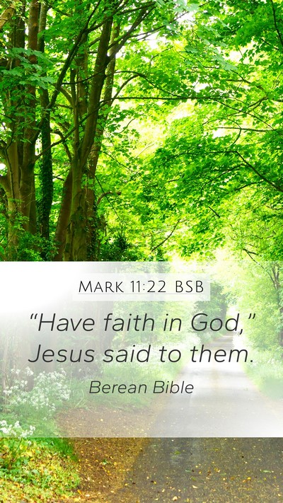 Mark 11:22 BSB Bible Verse Image