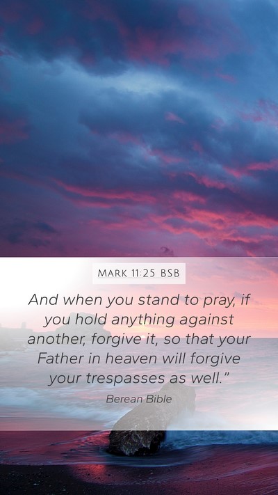 Mark 11:25 BSB Bible Verse Image