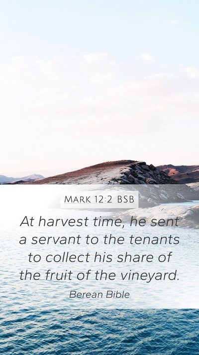 Mark 12:2 BSB Bible Verse Image