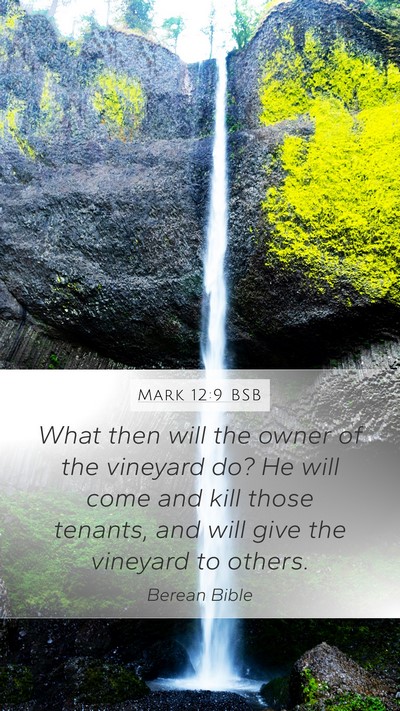Mark 12:9 BSB Bible Verse Image