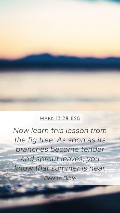 Mark 13:28 BSB Bible Verse Image