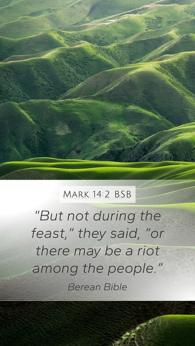 Mark 14:2 BSB Bible Verse Image