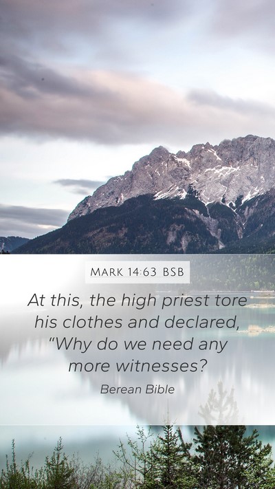 Mark 14:63 BSB Bible Verse Image