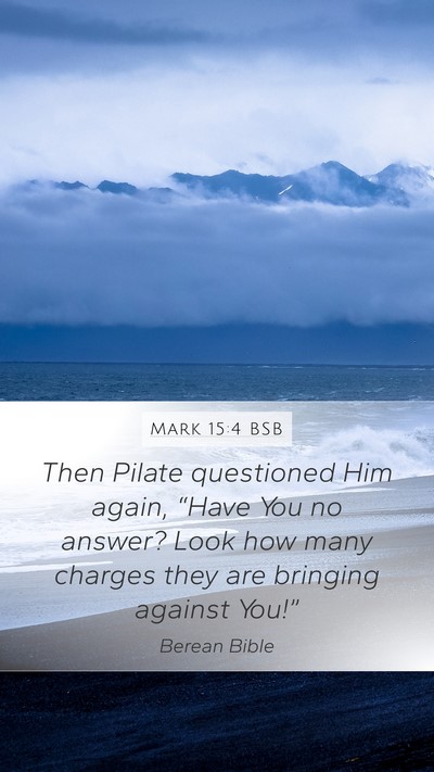 Mark 15:4 BSB Mobile Phone Wallpaper - Then Pilate questioned Him again, “Have You no - Mobile Bible Verse Wallpaper