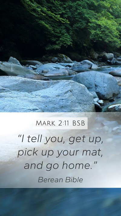 Mark 2:11 BSB Mobile Phone Wallpaper - “I tell you, get up, pick up your mat, and go - Mobile Bible Verse Wallpaper