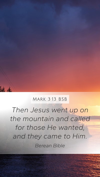 Mark 3:13 BSB Bible Verse Image