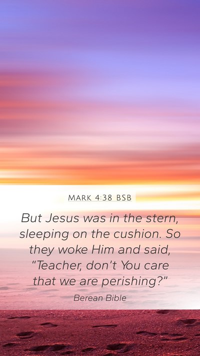 Mark 4:38 BSB Bible Verse Image