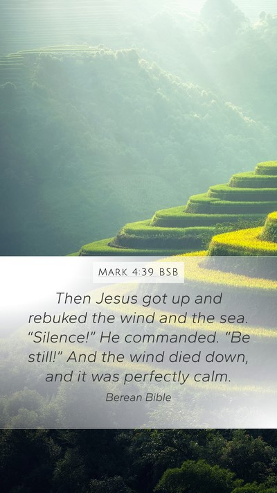 Mark 4:39 BSB Mobile Phone Wallpaper - Then Jesus got up and rebuked the wind and the - Mobile Bible Verse Wallpaper