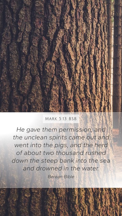Mark 5:13 BSB Bible Verse Image
