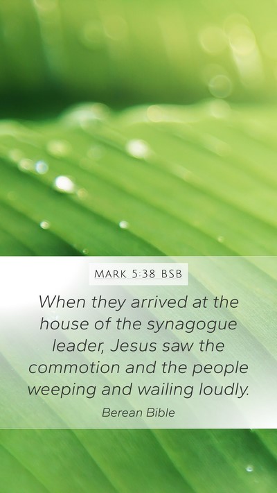 Mark 5:38 BSB Bible Verse Image
