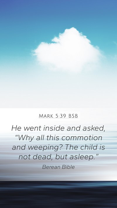 Mark 5:39 BSB Bible Verse Image