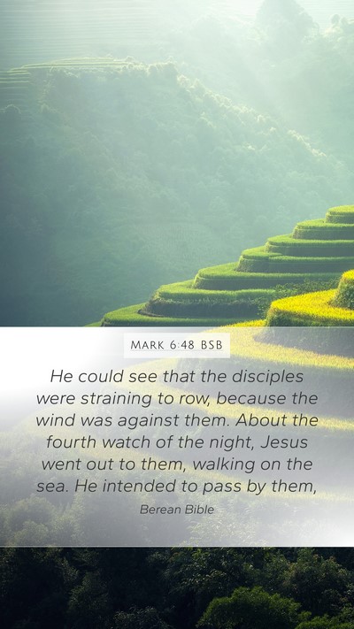Mark 6:48 BSB Bible Verse Image