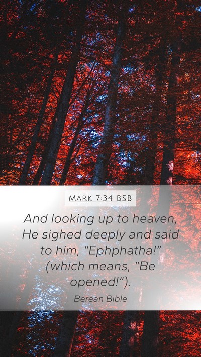 Mark 7:34 BSB Bible Verse Image