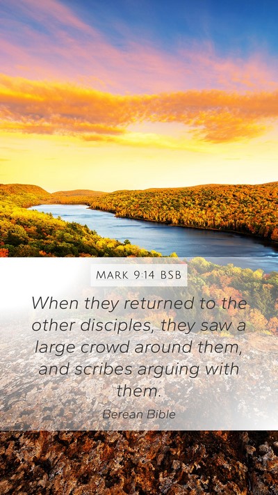 Mark 9:14 BSB Bible Verse Image