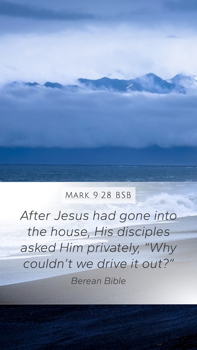 Mark 9:28 BSB Bible Verse Image
