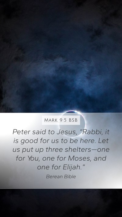 Mark 9:5 BSB Bible Verse Image