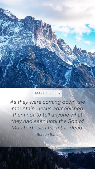 Mark 9:9 BSB Bible Verse Image
