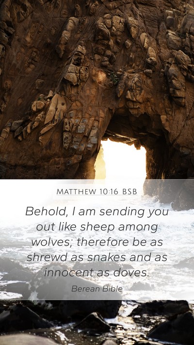 Matthew 10:16 BSB Bible Verse Image