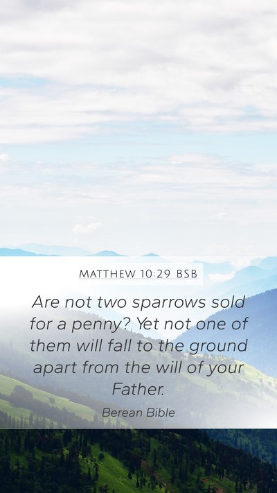 Matthew 10:29 BSB Bible Verse Image