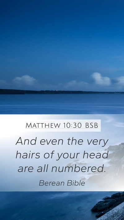 Matthew 10:30 BSB Bible Verse Image