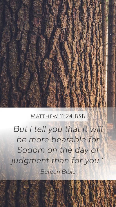 Matthew 11:24 BSB Bible Verse Image