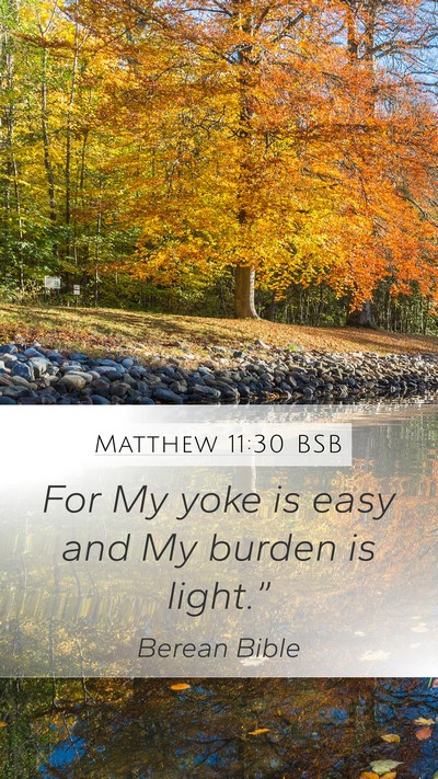 Matthew 11:30 BSB Bible Verse Image