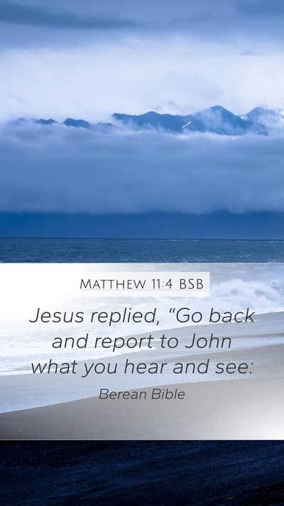 Matthew 11:4 BSB Bible Verse Image
