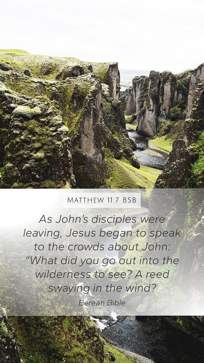 Matthew 11:7 BSB Bible Verse Image