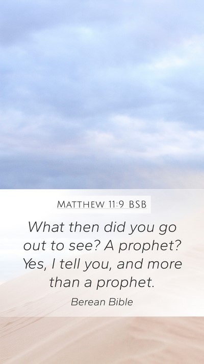 Matthew 11:9 BSB Mobile Phone Wallpaper - What then did you go out to see? A prophet? Yes, - Mobile Bible Verse Wallpaper