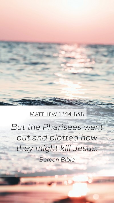 Matthew 12:14 BSB Bible Verse Image