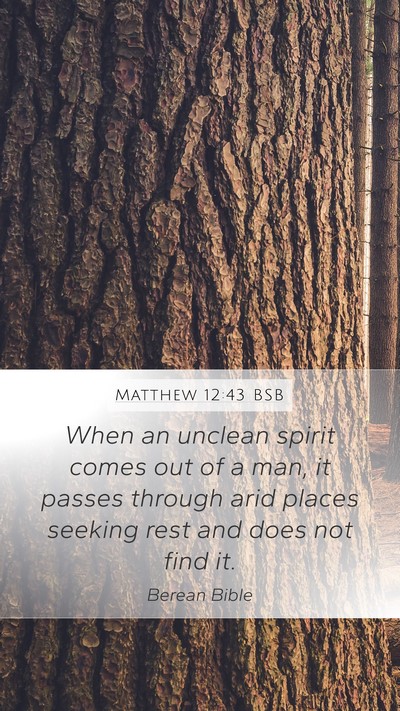 Matthew 12:43 BSB Bible Verse Image