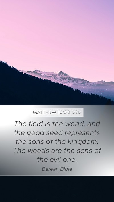Matthew 13:38 BSB Bible Verse Image