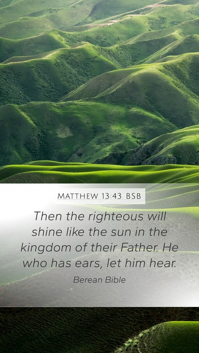 Matthew 13:43 BSB Bible Verse Image